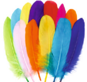 Feathers